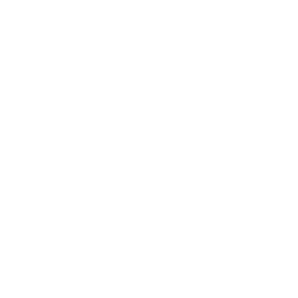 Blue Cross Blue Shield
